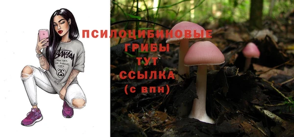 прущие грибы Горнозаводск