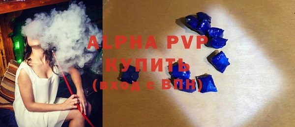 шишки Горно-Алтайск