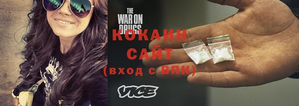 шишки Горно-Алтайск