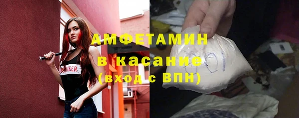 шишки Горно-Алтайск