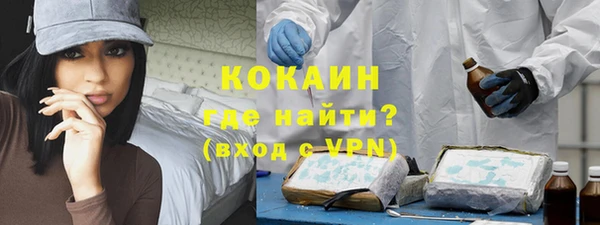 шишки Горно-Алтайск