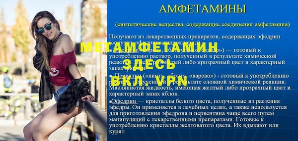 шишки Горно-Алтайск