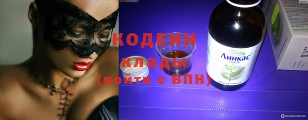шишки Горно-Алтайск
