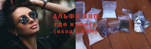 шишки Горно-Алтайск