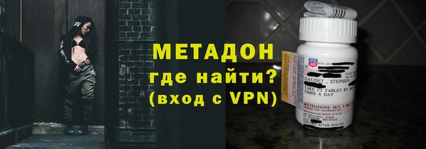 прущие грибы Горнозаводск