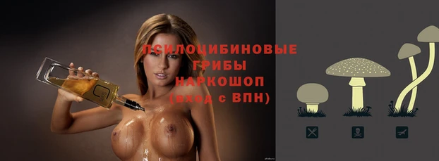 шишки Горно-Алтайск