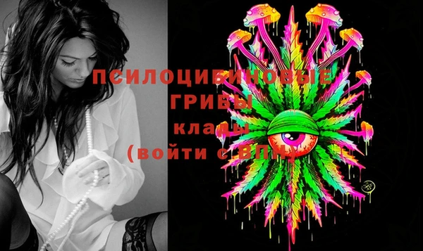 шишки Горно-Алтайск