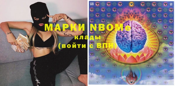 шишки Горно-Алтайск
