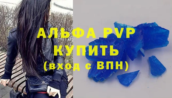 прущие грибы Горнозаводск
