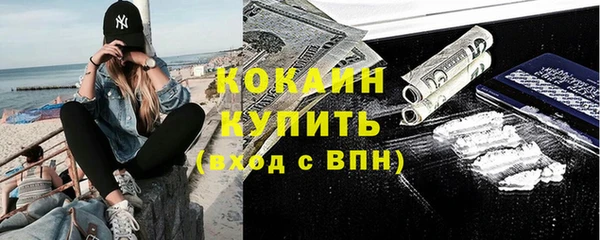 шишки Горно-Алтайск
