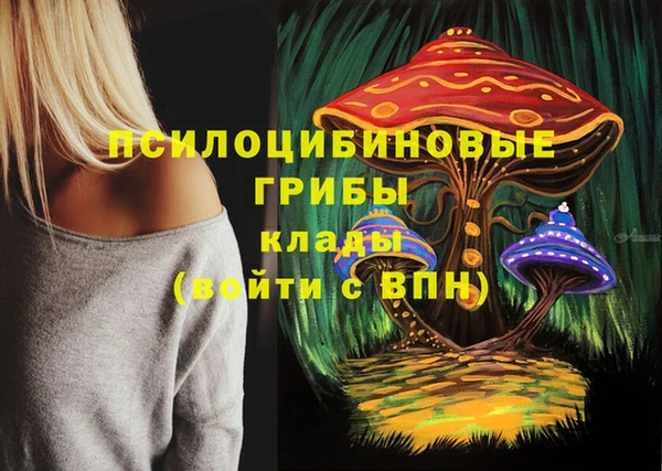 шишки Горно-Алтайск