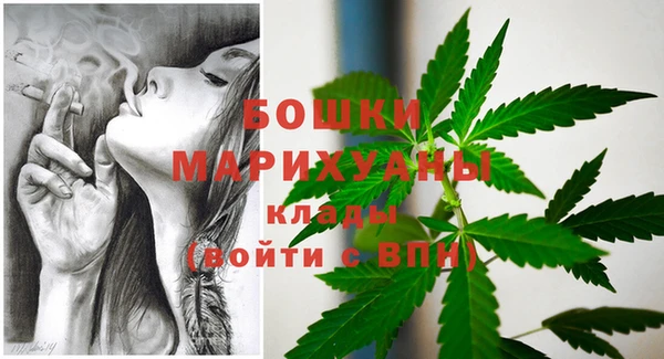 прущие грибы Горнозаводск