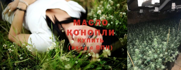 шишки Горно-Алтайск