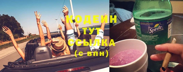 прущие грибы Горнозаводск