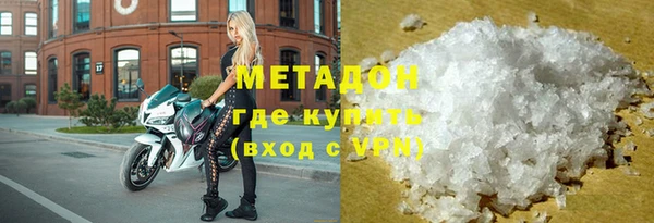 прущие грибы Горнозаводск