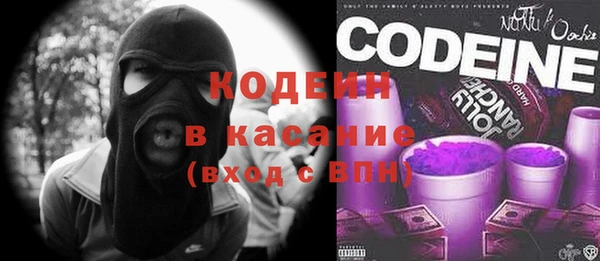 шишки Горно-Алтайск