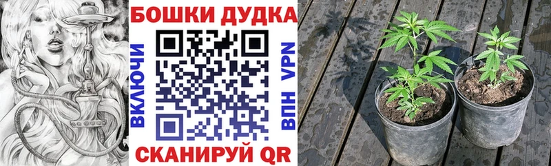 Канабис OG Kush  Южно-Сахалинск 